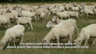 CellLabs Sheep Placenta  Live Stemcell Therapy [upl. by Hsepid]