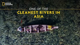 One of the Cleanest Rivers in Asia  It Happens Only in India  National Geographic [upl. by Gerti]