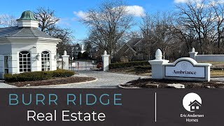 Burr Ridge IL Real Estate [upl. by Eelirem531]