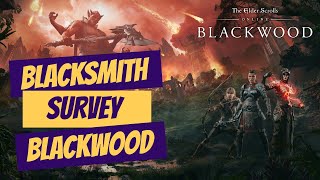 ESO Blacksmith Survey Blackwood [upl. by Aniraad474]