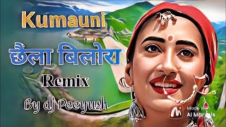 Garhwali Old Song Dj mix 2024  Dj Peeyush  chela bilora  new year special 2024 [upl. by Berte]