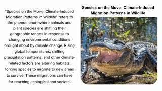 Species on the Move Climate Induced Migration Patterns in Wildlife [upl. by Coonan]