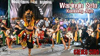 Barongan Jaranan Waringin Seto Kumbang Joyo Malam Suro Live Jepon [upl. by Phillipe336]