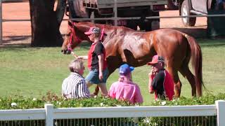 Charleville 20241006 Race 4 [upl. by Itaws303]