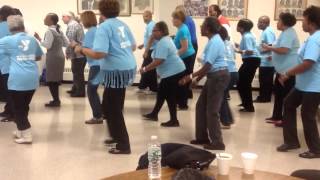 quotRoll it Roll itquot WEY Line dancers [upl. by Dranoc]