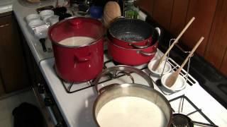 Making Mozzarella Cheese and Transglutamacurd  Part 1 [upl. by Clarkson]