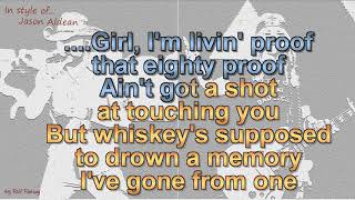 Jason Aldean  Drowns the Whiskey feat Miranda Lambert Cover [upl. by Luanni360]