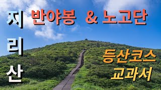 지리산 반야봉 등산코스의 교과서 ㅣ 반야봉 추천코스 ㅣ 반야봉 최단코스 ㅣ 노고단 등산코스 [upl. by Vinnie]