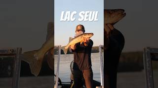 Lac Seul Walleye fishing walleye northernontario [upl. by Lemal]