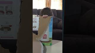 Unboxing Calico Critter Lighthouse Toy with Kate amp Lilly [upl. by Lashond]