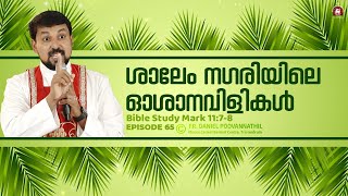 ശാലേം നഗരിയിലെ ഓശാനവിളികൾ Mark 1178  Fr Daniel Poovannathil [upl. by Mark]