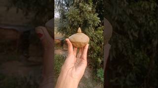 লক্ষীর ঘট বানাতে গিয়ে একি হলোdiy pottery craft potteryclay shortsfeed creative [upl. by Ackerman]