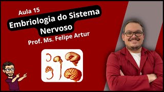 Aula 15 Embriologia do Sistema Nervoso Anatomia e Fisiologia Humana [upl. by Ynnohj]