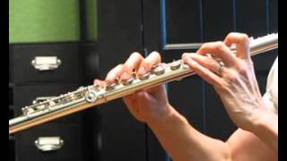 Gemeinhardt 33SB Thin Wall Professional Flute  Response Demo [upl. by Nnyw]