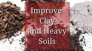 Improve Clay Soil [upl. by Flyn]