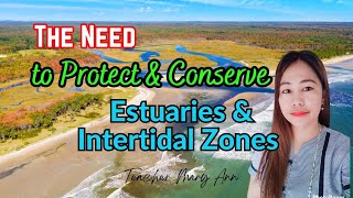 The Need to Protect and Conserve Estuaries and Intertidal Zones  Science 5 Quarter 2 Week 8 [upl. by Leinoto227]