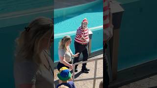 Most wonderful time of the year 🎅🏼 Tom mime Seaworld Christmas shows seaworldmime tomthemime [upl. by Leventis]