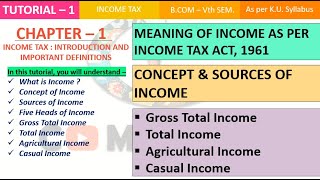 Basic Concepts of Income and Important Definitions  Heads of Income  CH1 [upl. by Callan]