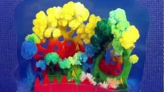 Coral Crystal Garden Time Lapse [upl. by Tima]