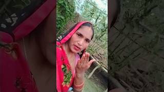 Itna Bata do Sona how kekra Ghar Ke short videobahut achcha like subscribe share karna ❤️❤️👍🙏🤪 [upl. by Margarida]