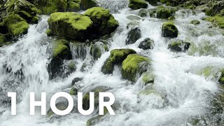 Water Splashing Creek River Stream Nature Background Sounds For Relaxing Focusing Studying 4k [upl. by Atteuqahs]