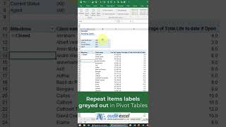 Repeat item labels greyed out in Excel Pivot Tables youtubemadeforyou [upl. by Chloris]