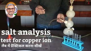 copper ion test salt analysis neet [upl. by Ylsel951]