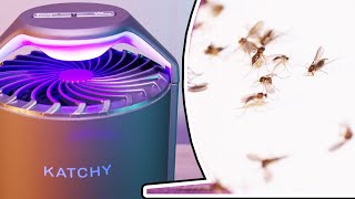 Katchy The Fungus Gnat Killer  RESULTS [upl. by Araht]