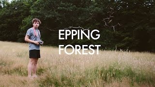 Epping Forest [upl. by Ahcsas950]