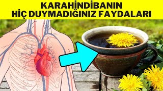 KARAHİNDİBANIN FAYDALARI  KARAHİNDİBA ÇAYI NASIL YAPILIR HİNDİBA OTUNUN FAYDALARI [upl. by Odnarb]