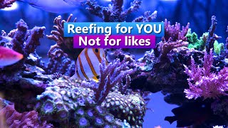 Reefing for You  Not for Likes [upl. by Buck]