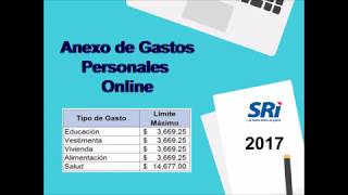 ANEXO DE GASTOS PERSONALES ONLINE 2018 [upl. by Alfredo]