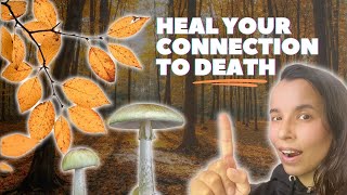 Reconnect to Death Find Ancestral Healing [upl. by Christiana851]