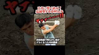 広島カープ日南秋季キャンプ名物『地獄の連続トスバッティング』carp カープ 日南キャンプ [upl. by Wolfort]