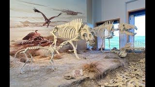 Agate Fossil Beds National Monument [upl. by Aryan241]