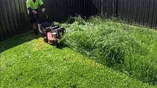 Mowing tall grass perfectly Satisfying [upl. by Nortad]