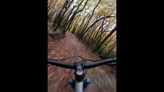 Mtb in trail academy mtb gopro [upl. by Duntson]