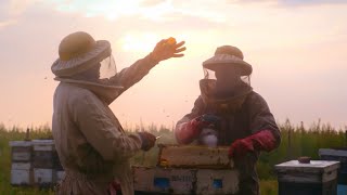 Celebrating Beekeeping Short A Global Story  Argentina [upl. by Bittencourt402]