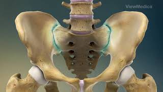 Sacroiliac Joint Steroid Injection  Pain amp Wellness Centers of Southern California [upl. by Rednasxela]