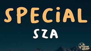 SZA  Special Lyrics [upl. by Soinotna]