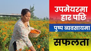 उपमेयरमा हार पछि पुष्प ब्यवसायमा सफलता  nepali floriculture  Tihar  Sayapatri [upl. by Nialb701]