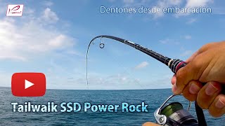 Pesca de Dentones en Cantabria con Crazy Sand Eel [upl. by Adnael992]