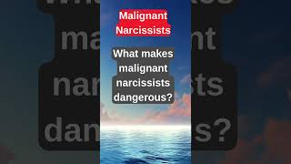 Inside the Mind of a Narcissist 🤯  Psychology Explained facts psychology musicalhealing [upl. by Barri833]