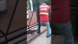 Loving Dog Refuses to Allow Man to Leave [upl. by Bouzoun]