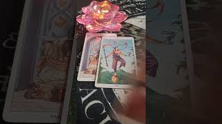 ЧЕМ ПОРАДУЕТ НОЯБРЬ🌬таро прогноз гадание таролог tarot раскладтаро гадание расклад гороскоп [upl. by Tesler310]