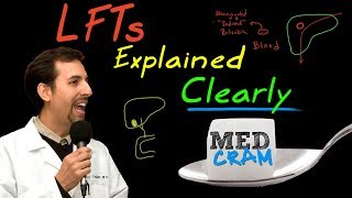 Liver Function Tests LFTs Explained Clearly by MedCramcom [upl. by Lebanna]