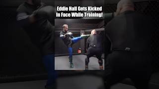 Eddie Hall Gets Kicked In Face While Training mma [upl. by Bigg]