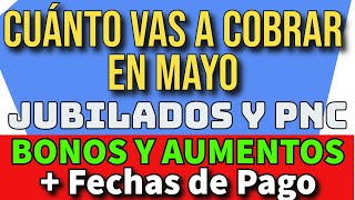 💥JUBILADOS Y PNC 💲260 000  Cuanto cobro en abril BONO Y AUMENTO de Anses INFLACIONMILEI [upl. by Negris812]