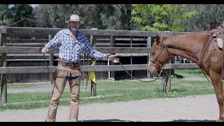 Essential Horsemanship Skills  Its so simple [upl. by Rhianon449]