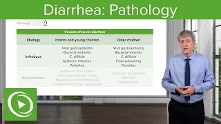 Diarrhea Pathology Types amp Causes – Pediatric Gastroenterology  Lecturio [upl. by Bremser742]